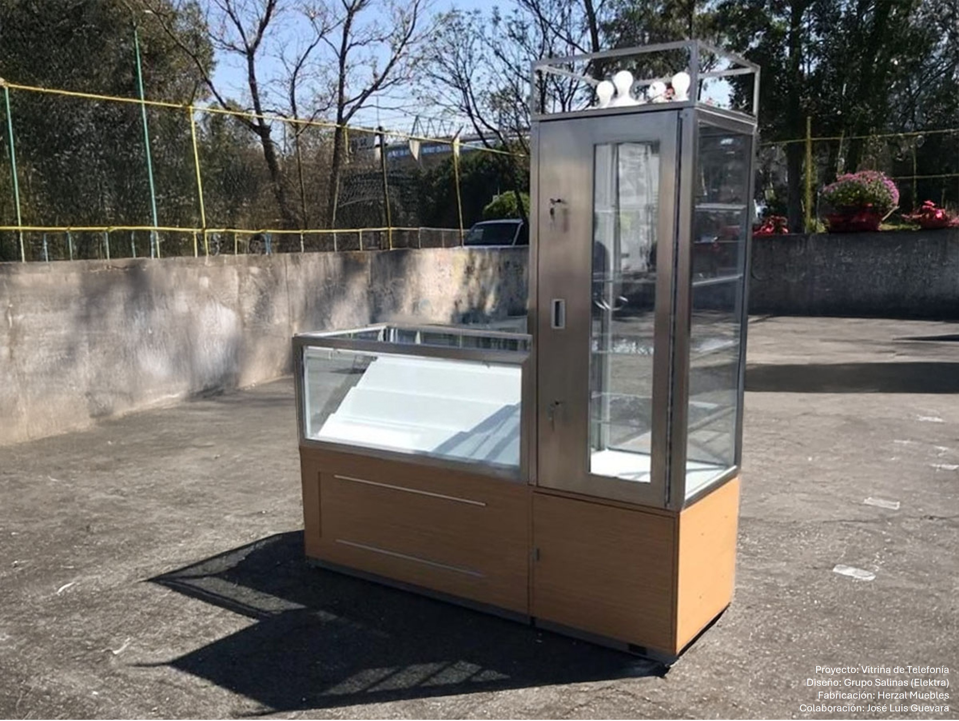 Vitrina de Telefonía — Grupo Salinas Elektra